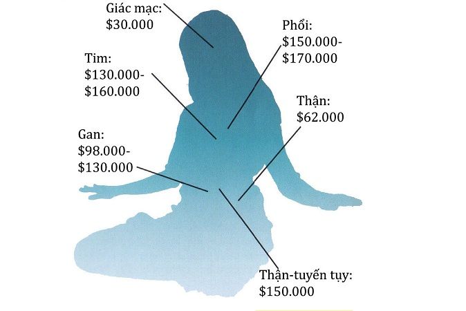 Thị trường tạng đen rất nhộn nhịp, đặc biệt là tại Trung Quốc (Ảnh: DKN)