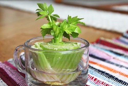 (Ảnh: healthybodynow.net)