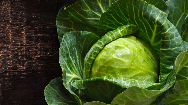 Fresh kitchen garden cabbage with water drops on a wooden background.