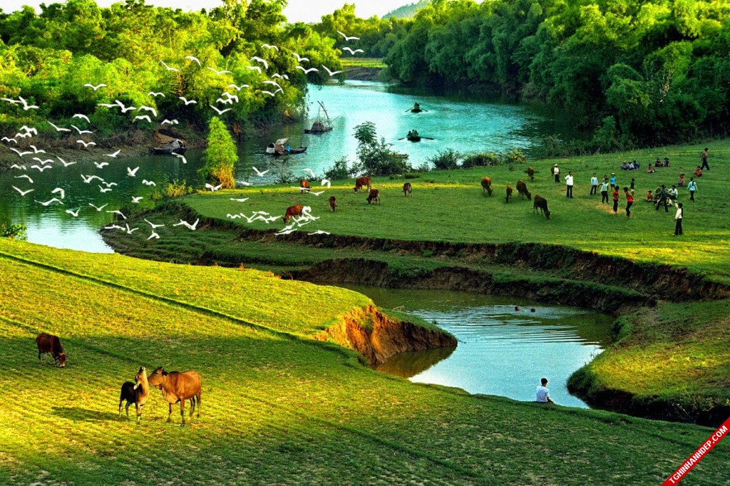 Làng quê Việt đẹp thơ mộng qua ống kính nhiếp ảnh gia